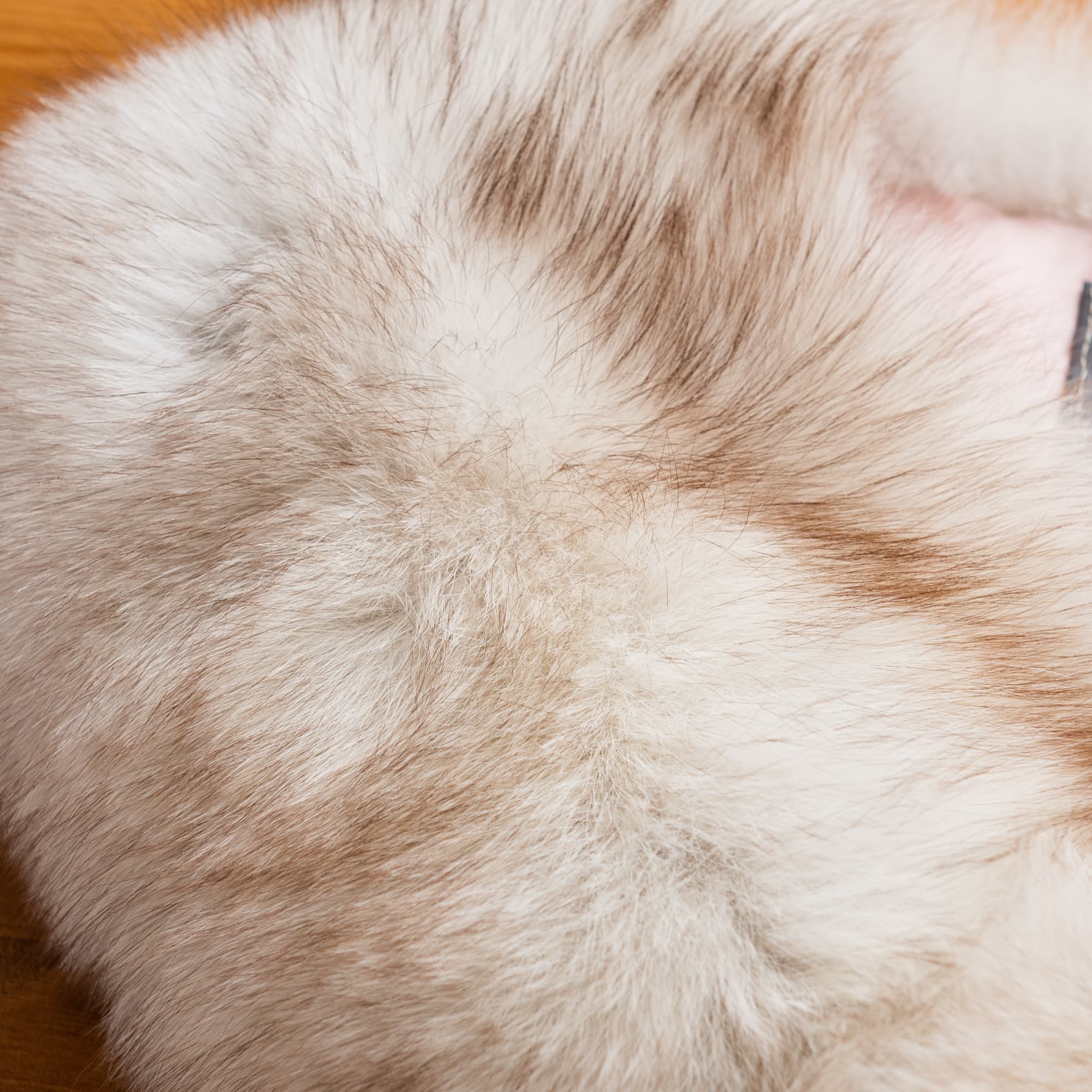 ベージュと茶色のまだら模様のショール