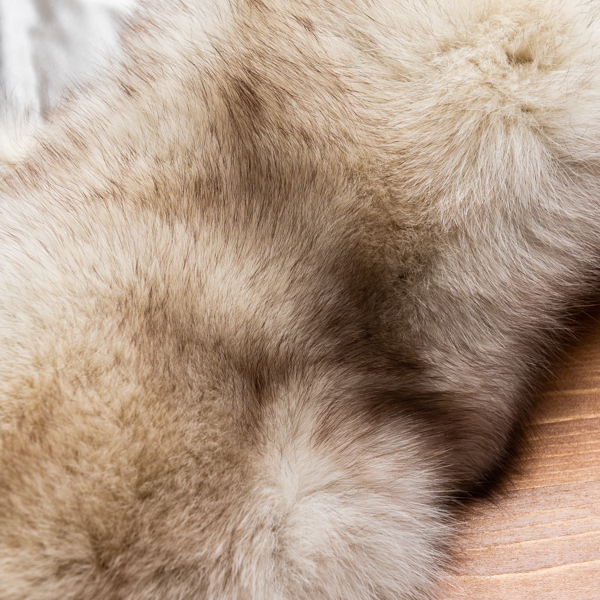 白毛に茶色混じりのショール