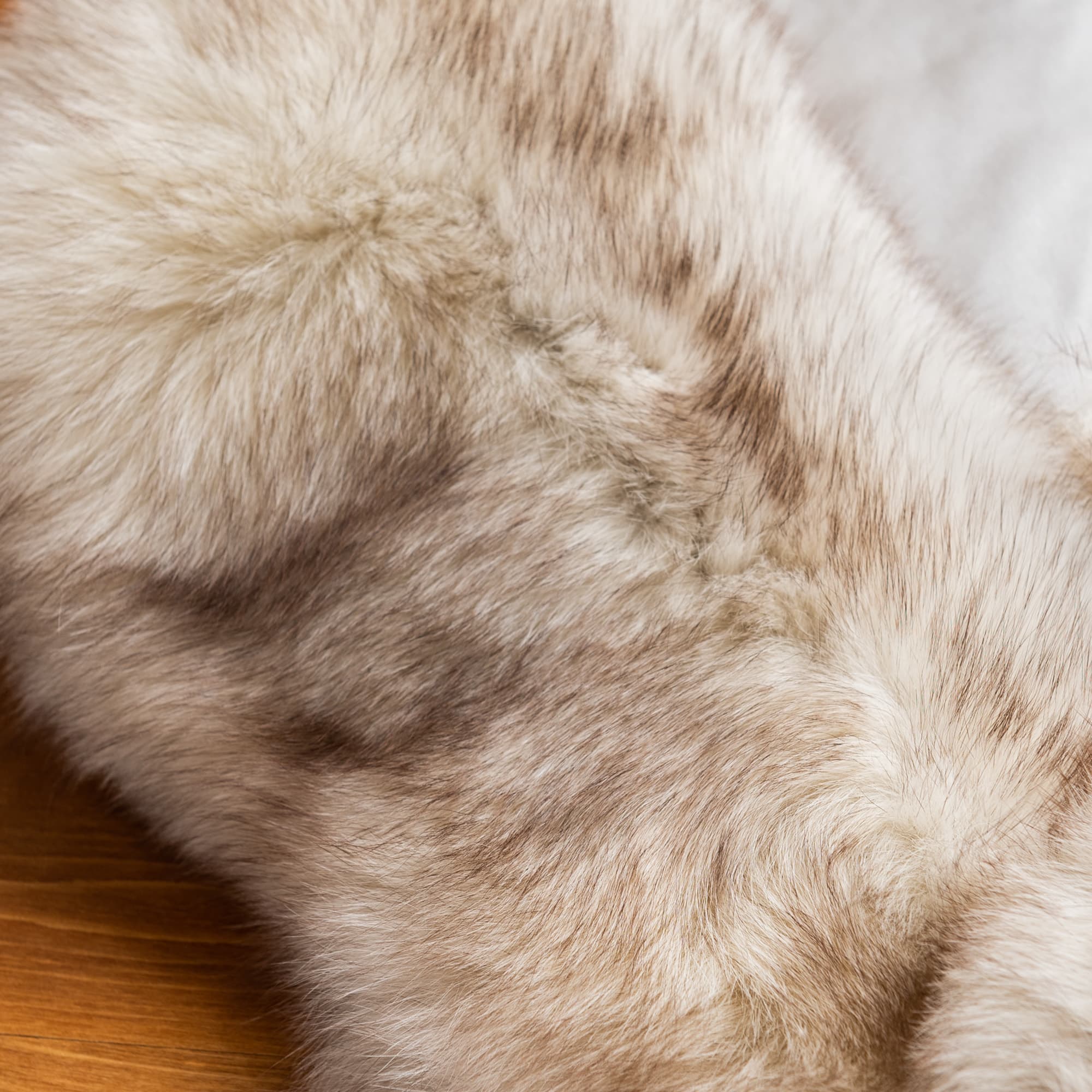 白毛に茶色混じりのショール